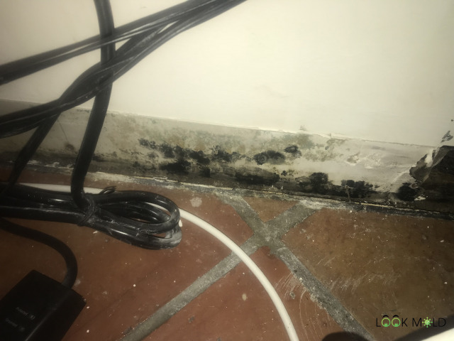 Behind baseboard