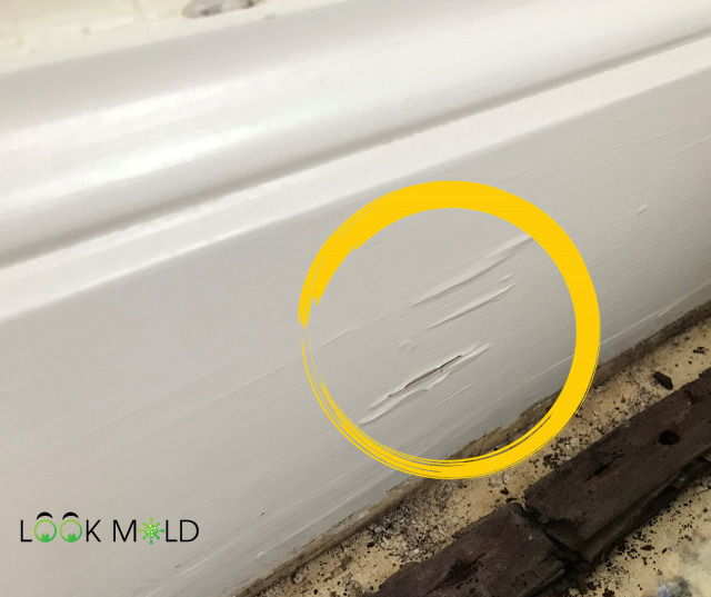 Paint chipping