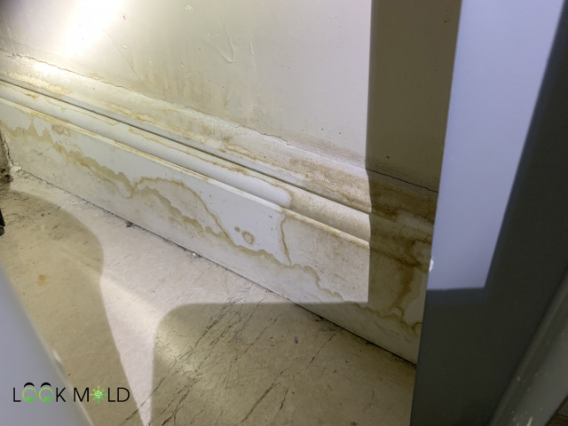 Stained baseboard
