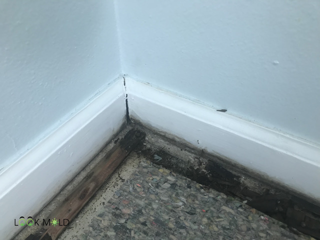 Stained tackstrips