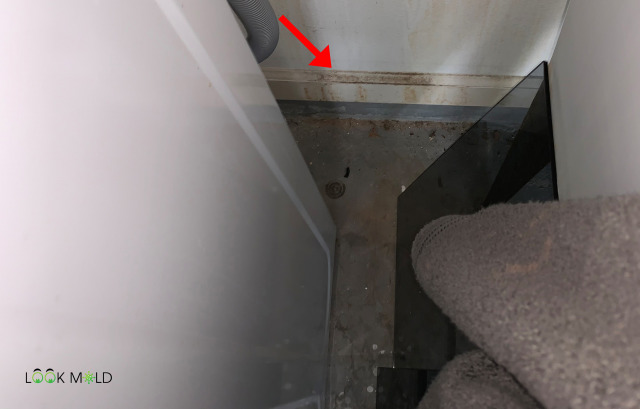 Superficial mold