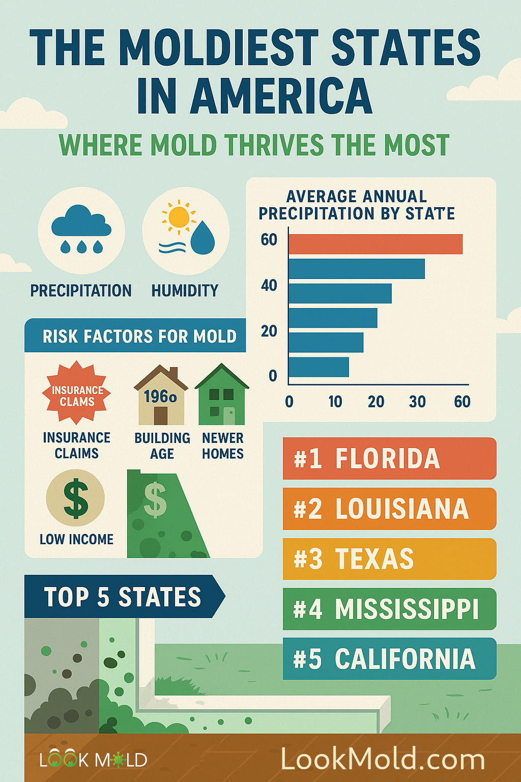 Top 5 Moldiest States In America