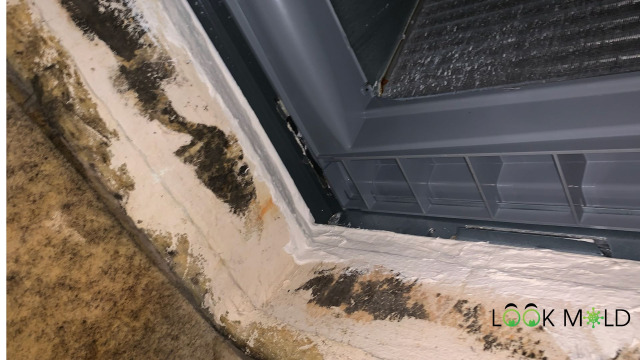Mold on HVAC Plenum
