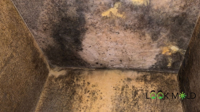 Mold on Insulated Plenum