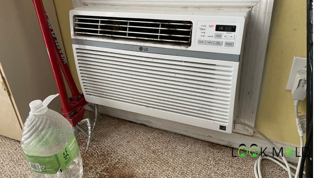Mold on Wall Unit