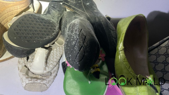 Mold on boots