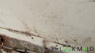 Water Damaged drywall