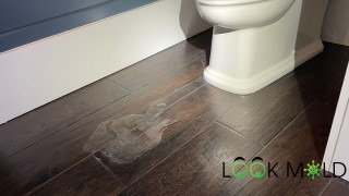 Health risks of mold exposure on floors