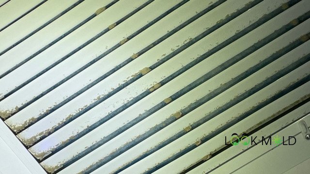 Dust-Sampling Dust-Sampling