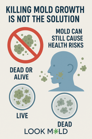 Killing Mold Growth Is Not A Solution