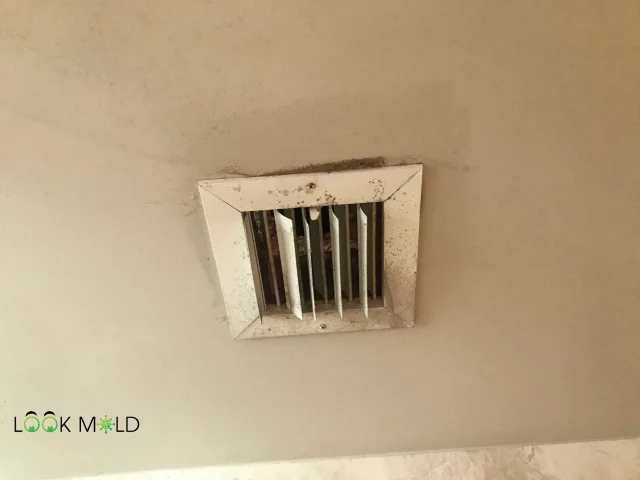 Mold-Around-Vents Mold-Around-Vents