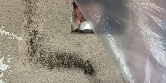 mold-on-plaster mold-on-plaster