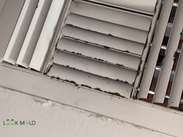 Mold-on-Vents Mold-on-Vents