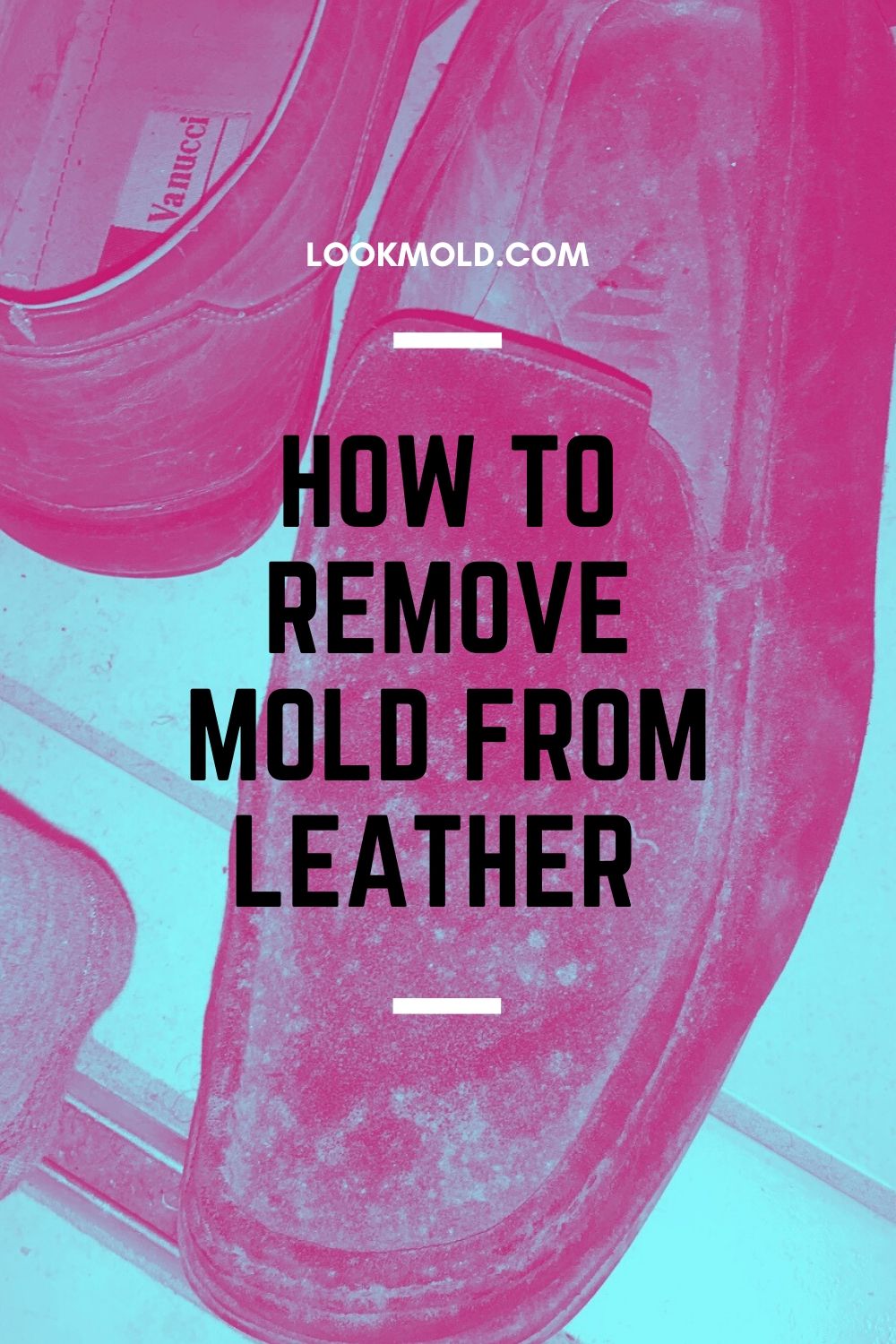 How to remove mold off leather