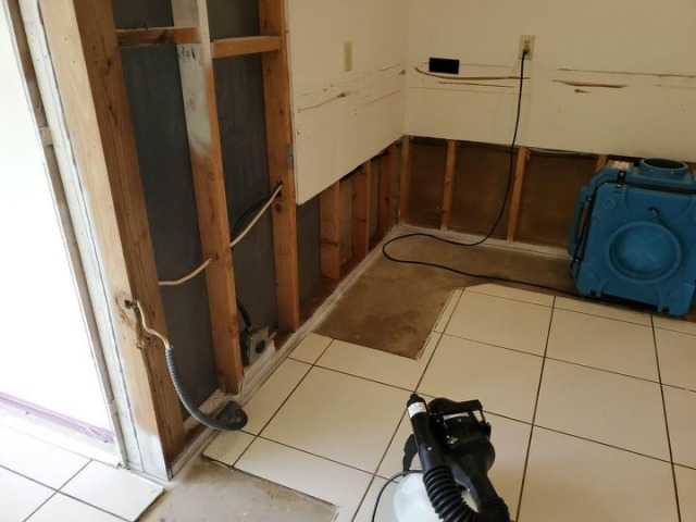 Mold Fogging On Tile