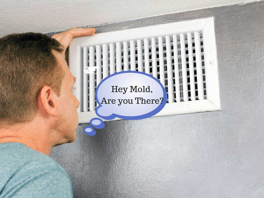 mold in ducts