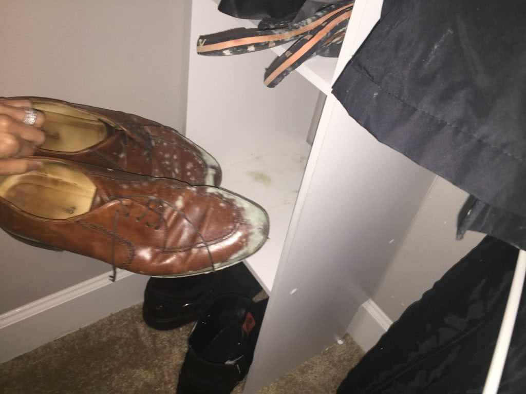 how to get mold out of leather shoes