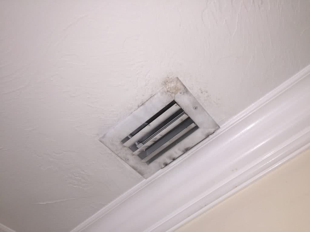 mold on vents