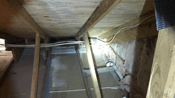 attic mold inspection
