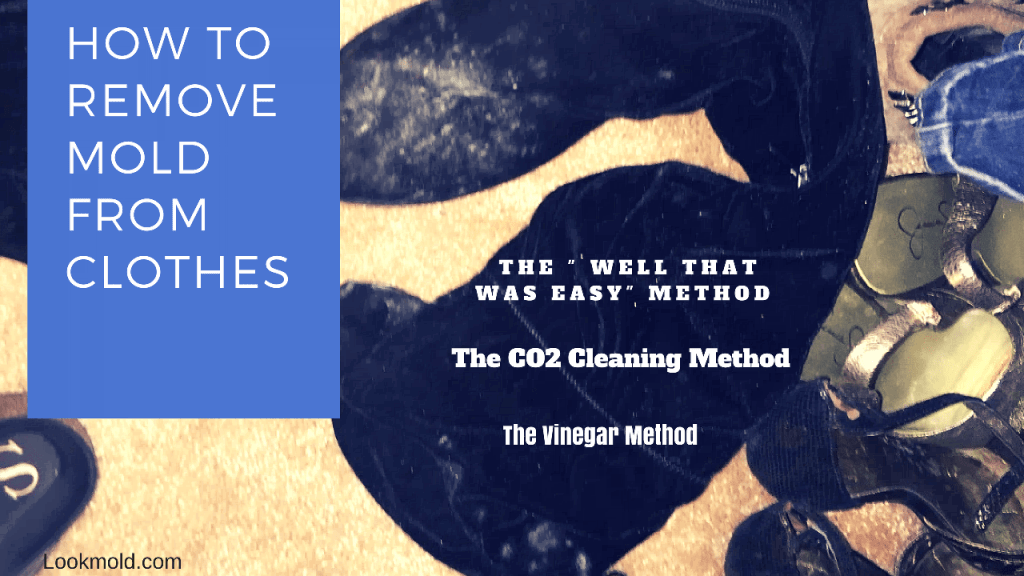 How To Get Mold Out Of Clothes & Fabric & Remove Mildew Smell