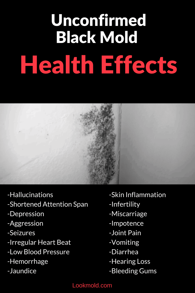 Is All Black Mold Toxic