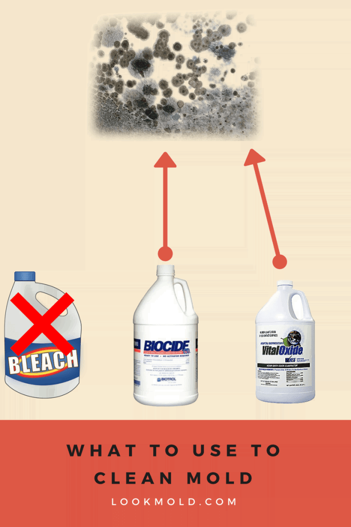 what types of cleaning materials to use to kill mold besides bleach
