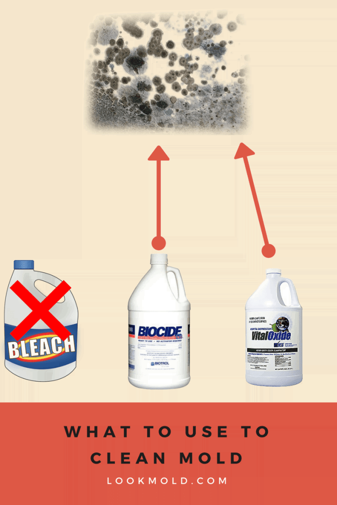 clean up mold with bleach