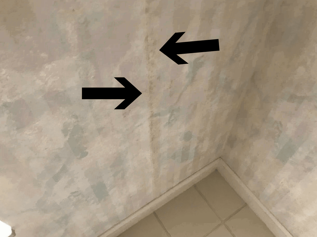 How To Get Rid Of Mold In The Bathroom | Lookmold