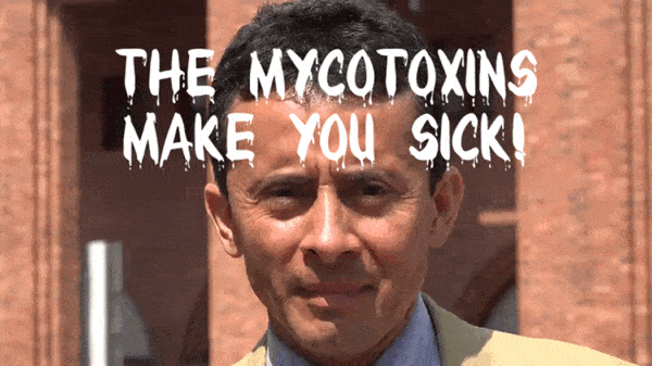 mycotoxins make you sick