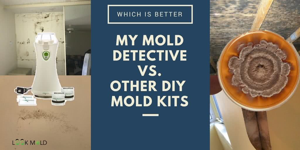 Mymolddetective 5-Room Mold Test Kit