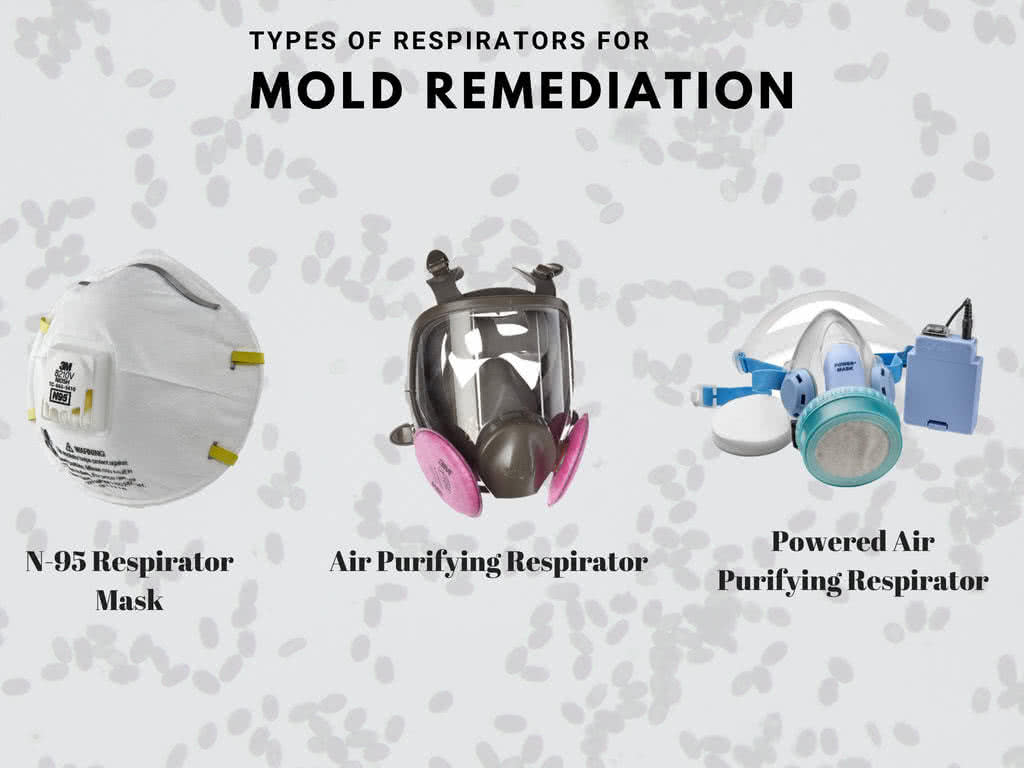 mold remediation respirators