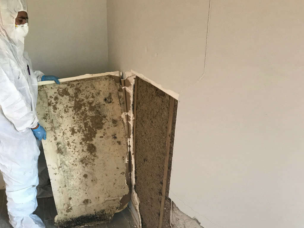 Remove Water and Mold Damaged Building Materials