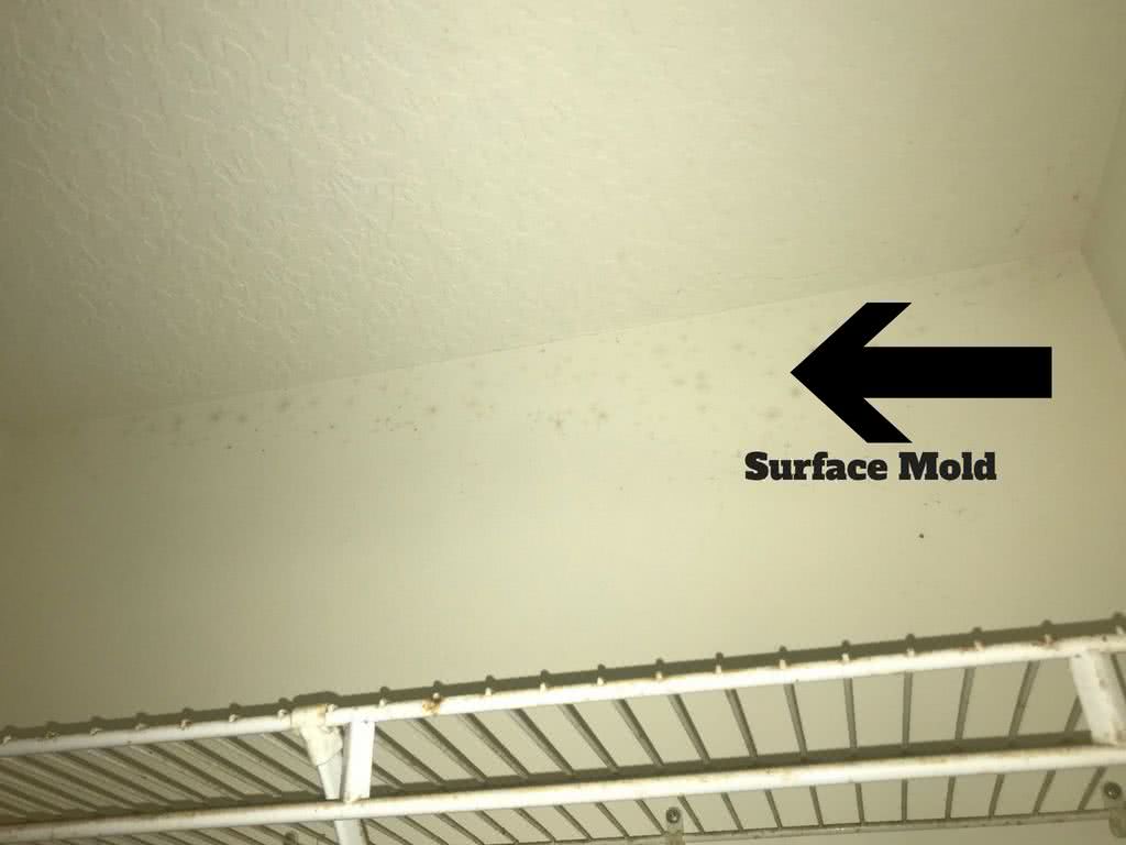 surface mold in closet 